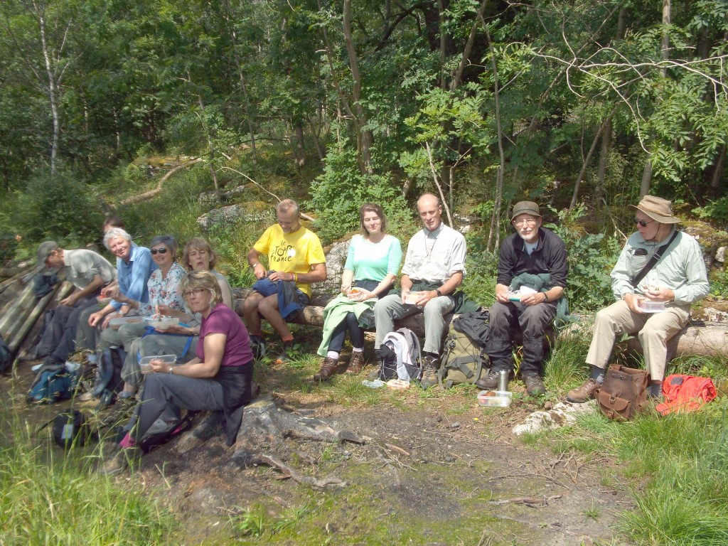 Trust outing to Grass Wood nr. Grassington led by Bruce Brown of the  Grass Wood Volunteer Group.